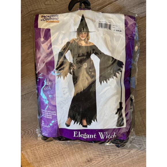 Elegant Witch Plus Size Costume. - Picture 1 of 4